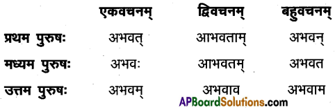 AP Inter 1st Year Sanskrit Model Paper Set 1 with Solutions 5