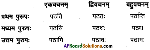 AP Inter 1st Year Sanskrit Model Paper Set 1 with Solutions 6
