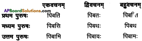 AP Inter 1st Year Sanskrit Model Paper Set 10 with Solutions 5