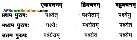 AP Inter 1st Year Sanskrit Model Paper Set 10 with Solutions 7