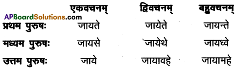 AP Inter 1st Year Sanskrit Model Paper Set 10 with Solutions 8