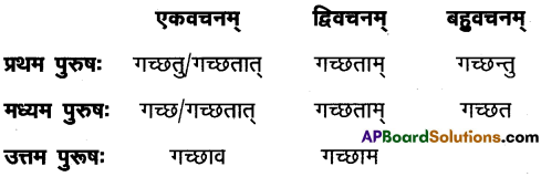 AP Inter 1st Year Sanskrit Model Paper Set 2 with Solutions 5