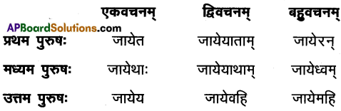 AP Inter 1st Year Sanskrit Model Paper Set 2 with Solutions 7