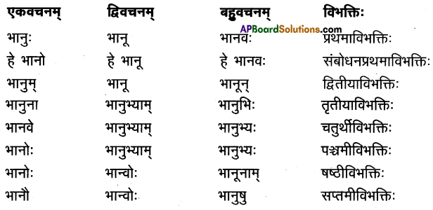 AP Inter 1st Year Sanskrit Model Paper Set 3 with Solutions 1