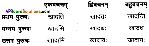 AP Inter 1st Year Sanskrit Model Paper Set 3 with Solutions 5