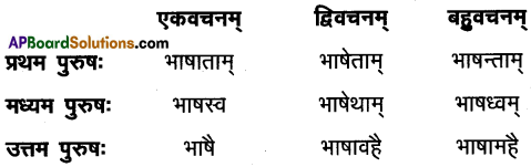 AP Inter 1st Year Sanskrit Model Paper Set 3 with Solutions 6