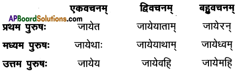 AP Inter 1st Year Sanskrit Model Paper Set 4 with Solutions 6