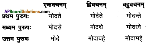 AP Inter 1st Year Sanskrit Model Paper Set 4 with Solutions 8