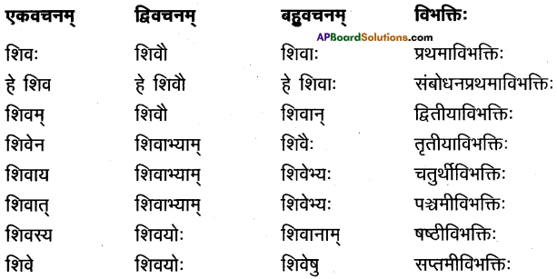 AP Inter 1st Year Sanskrit Model Paper Set 5 with Solutions 1