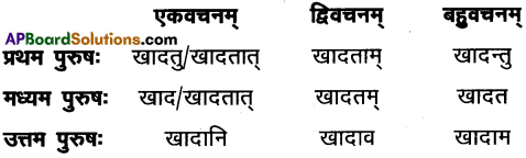 AP Inter 1st Year Sanskrit Model Paper Set 6 with Solutions 6
