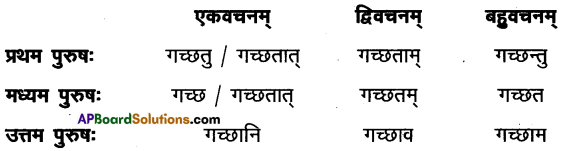 AP Inter 1st Year Sanskrit Model Paper Set 7 with Solutions 5