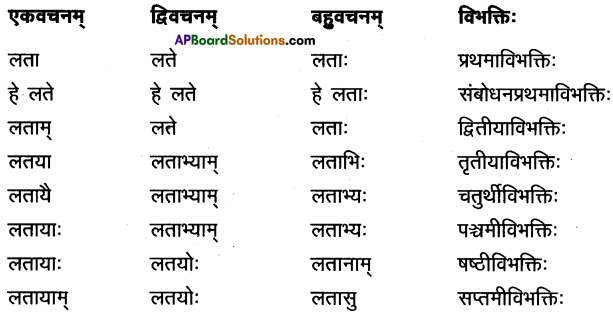 AP Inter 1st Year Sanskrit Model Paper Set 8 with Solutions 2