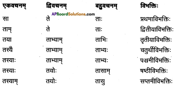 AP Inter 1st Year Sanskrit Model Paper Set 8 with Solutions 4