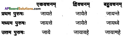 AP Inter 1st Year Sanskrit Model Paper Set 8 with Solutions 8