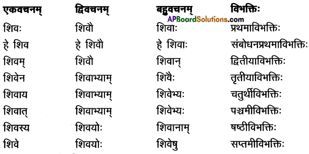 AP Inter 1st Year Sanskrit Model Paper Set 9 with Solutions 1