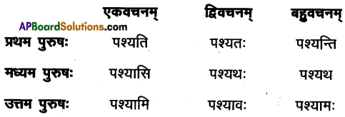 AP Inter 1st Year Sanskrit Model Paper Set 9 with Solutions 5
