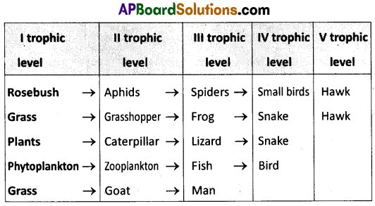 AP Inter 1st Year Zoology Model Paper Set 4 with Solutions 11