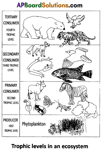 AP Inter 1st Year Zoology Question Paper March 2016 7