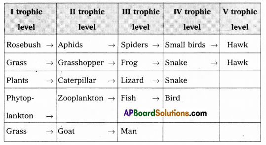 AP Inter 1st Year Zoology Question Paper March 2019 with Solutions 8