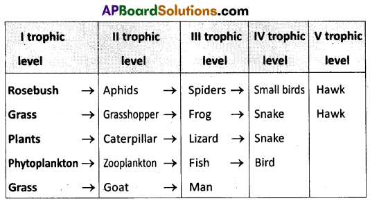AP Inter 1st Year Zoology Question Paper May 2016 12