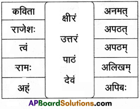 AP Inter 2nd Year Sanskrit Model Paper Set 1 with Solutions 1
