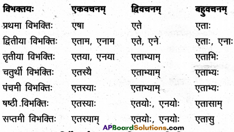AP Inter 2nd Year Sanskrit Model Paper Set 2 with Solutions 5