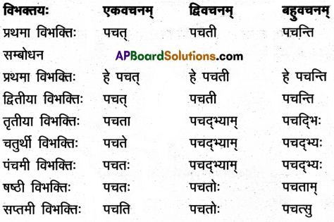 AP Inter 2nd Year Sanskrit Model Paper Set 4 with Solutions 4