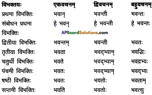 AP Inter 2nd Year Sanskrit Model Paper Set 8 with Solutions 2