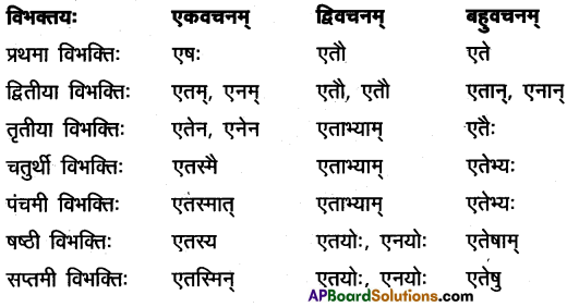 AP Inter 2nd Year Sanskrit Model Paper Set 8 with Solutions 5