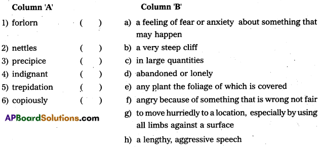 AP Inter 1st Year English Model Paper Set 10 with Solutions 1
