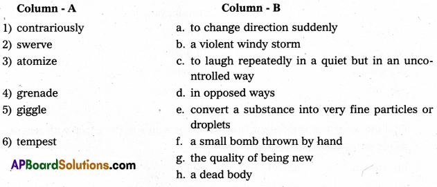 AP Inter 1st Year English Model Paper Set 8 with Solutions 1