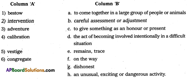 AP Inter 1st Year English Model Paper Set 9 with Solutions 1