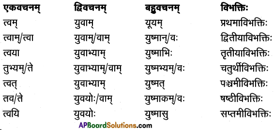 TS Inter 1st Year Sanskrit Model Paper Set 1 with Solutions 3