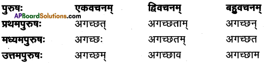 TS Inter 1st Year Sanskrit Model Paper Set 1 with Solutions 4