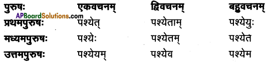 TS Inter 1st Year Sanskrit Model Paper Set 1 with Solutions 5