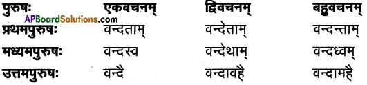 TS Inter 1st Year Sanskrit Model Paper Set 1 with Solutions 6