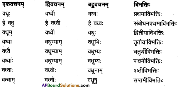 TS Inter 1st Year Sanskrit Model Paper Set 10 with Solutions 2