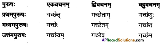 TS Inter 1st Year Sanskrit Model Paper Set 2 with Solutions 6