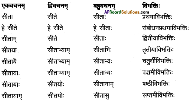 TS Inter 1st Year Sanskrit Model Paper Set 3 with Solutions 2