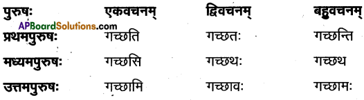 TS Inter 1st Year Sanskrit Model Paper Set 3 with Solutions 4