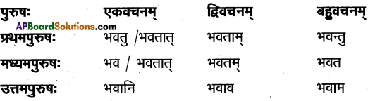 TS Inter 1st Year Sanskrit Model Paper Set 3 with Solutions 5