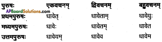TS Inter 1st Year Sanskrit Model Paper Set 3 with Solutions 6