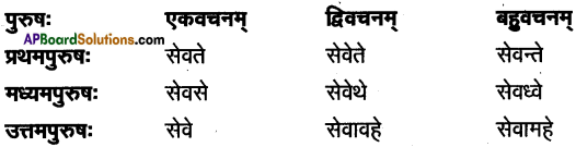 TS Inter 1st Year Sanskrit Model Paper Set 3 with Solutions 7