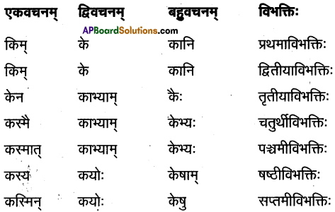 TS Inter 1st Year Sanskrit Model Paper Set 4 with Solutions 3