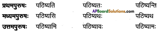 TS Inter 1st Year Sanskrit Model Paper Set 4 with Solutions 7