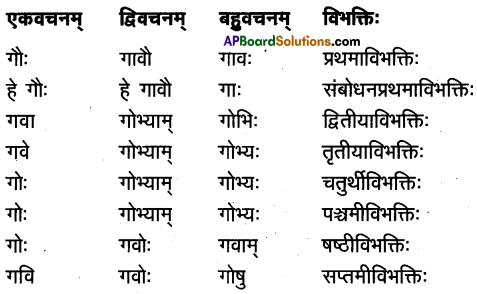 TS Inter 1st Year Sanskrit Model Paper Set 5 with Solutions 1