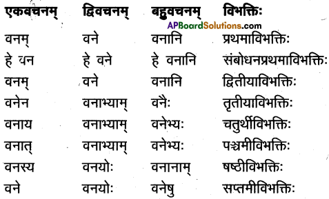 TS Inter 1st Year Sanskrit Model Paper Set 5 with Solutions 2