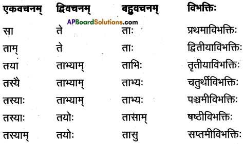 TS Inter 1st Year Sanskrit Model Paper Set 5 with Solutions 3