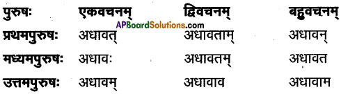 TS Inter 1st Year Sanskrit Model Paper Set 5 with Solutions 6