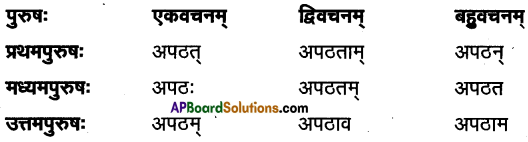 TS Inter 1st Year Sanskrit Model Paper Set 7 with Solutions 4